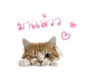 838354896