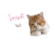 838354897