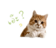 838354904