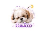838356883
