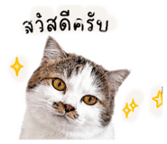 838360497