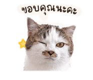 838360500