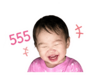 838363316