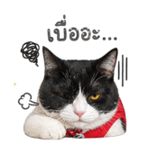 838365454