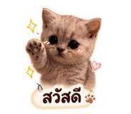 838366079