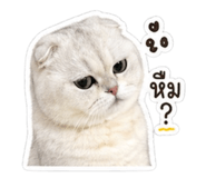 838369062