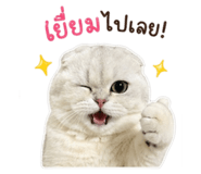 838369078