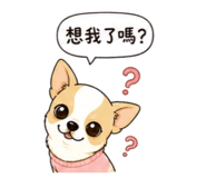 838372441