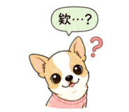 838372448
