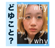 838380795