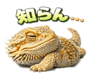 838381064