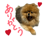 838381340