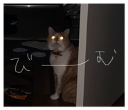 838381374