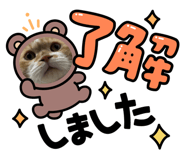 838381380