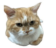 838381392