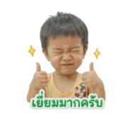 838384331