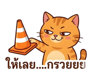 838384803