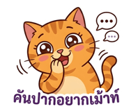 838384804