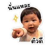 838385553