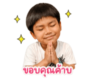 838385867