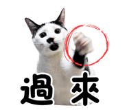 838387905