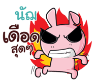 838396824