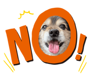 838400231
