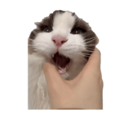 838400541