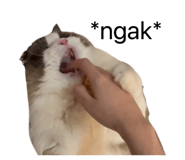 838400573