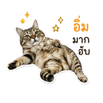 838400621