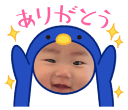 838400981