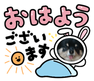 838401288