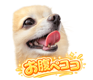 838401334