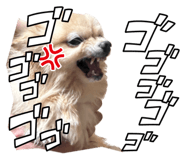 838401342