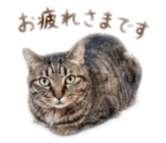 838401460