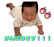 838402204