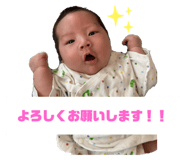 838402207