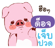 838405020