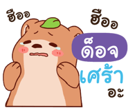 838405023