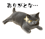 838411917