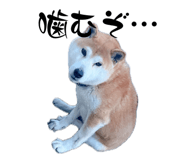 838411918