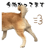 838411922