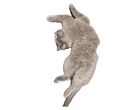 838411925