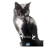838411926