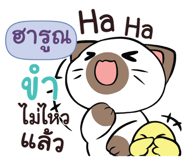 838415253