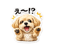 838428423