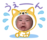 838429446
