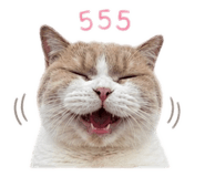 838431101