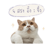 838431117