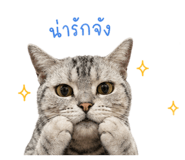 838431124